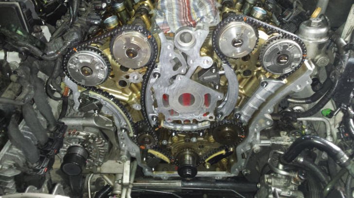 Ve commodore 2025 timing chain