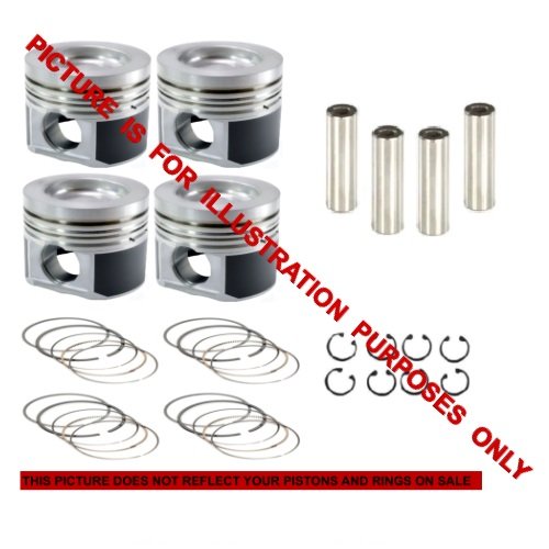 Ford Ranger PX 2.2 Lt 4 Cylinder Diesel Engine: P4AT - PISTONS AND RINGS SET