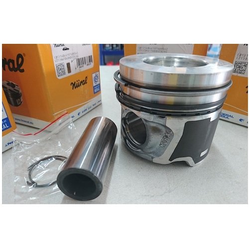 Holden Captiva CG1 2.0 Lt Diesel Z20S1 pistons and rings set